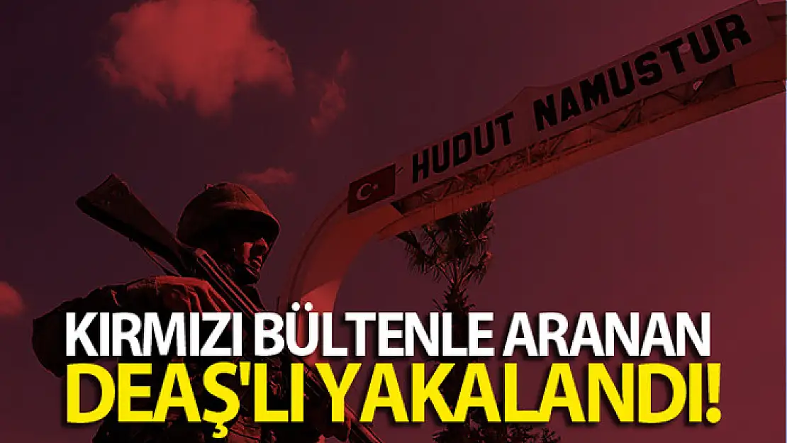 Kırmızı bültenle aranan DEAŞ'lı yakalandı!