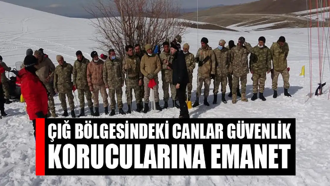 Çığ bölgesindeki canlar güvenlik korucularına emanet