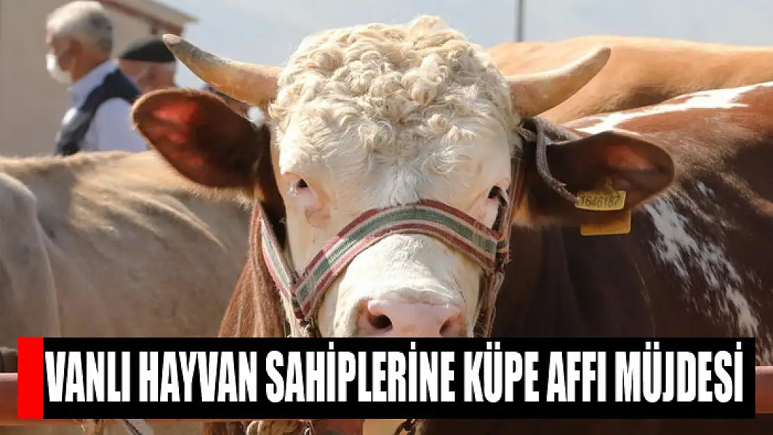 Vanlı hayvan sahiplerine küpe affı müjdesi