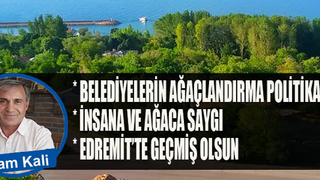 Belediyelerin ağaçlandırma politikası var mı?