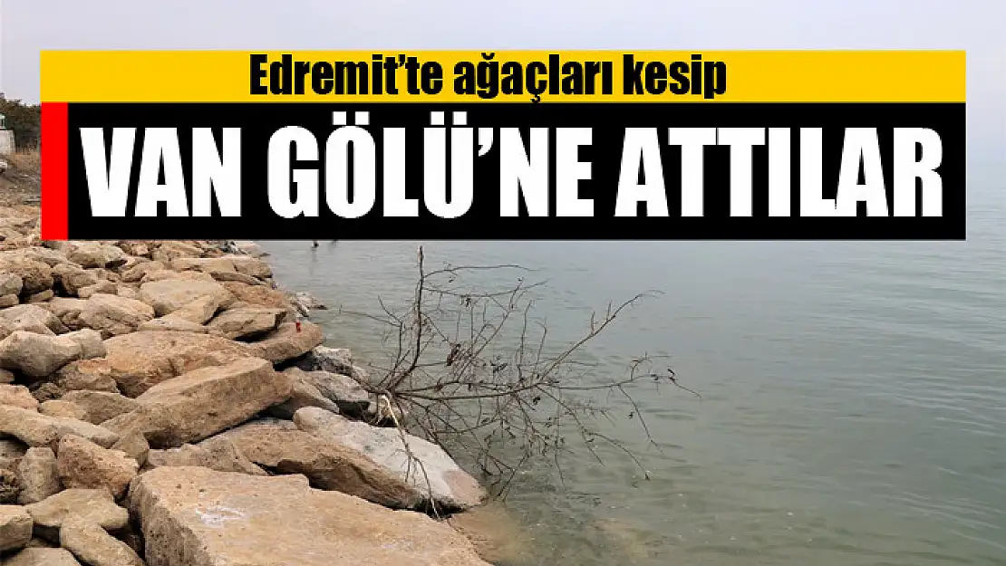 Edremit'te ağaçları kesip Van Gölü'ne attılar