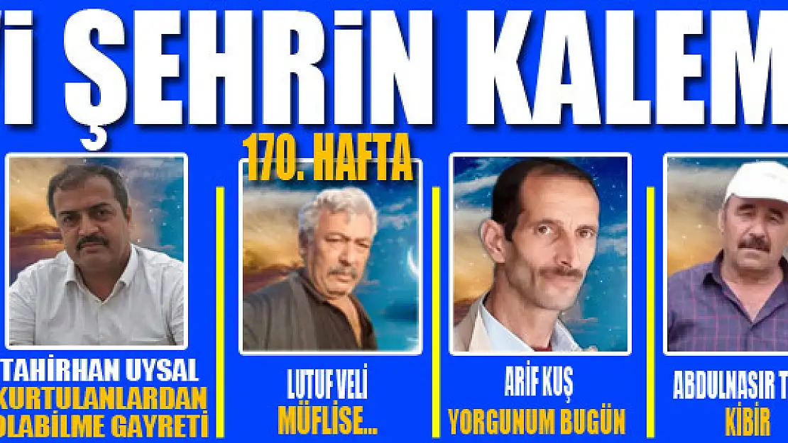 Mavi Şehrin Kalemleri