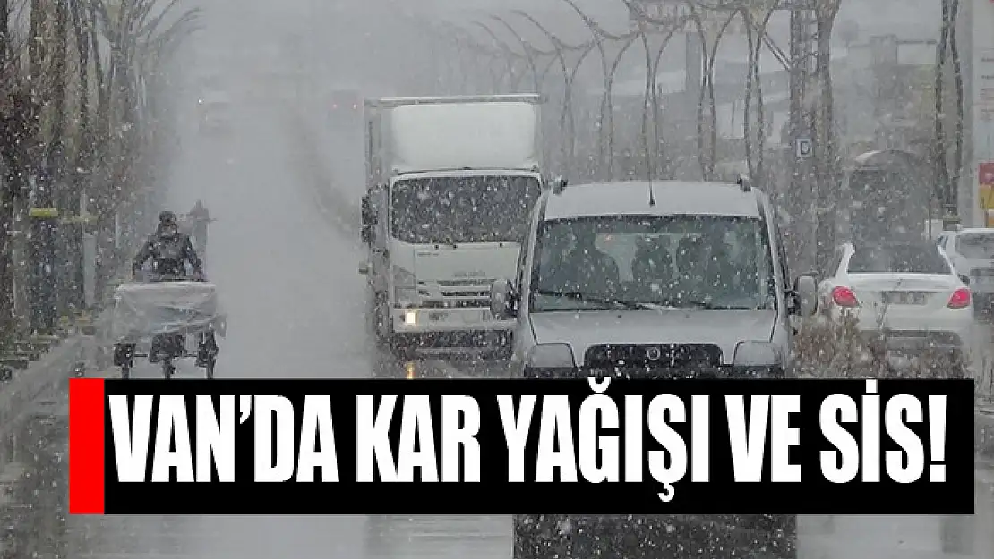 Van'da kar yağışı ve sis!