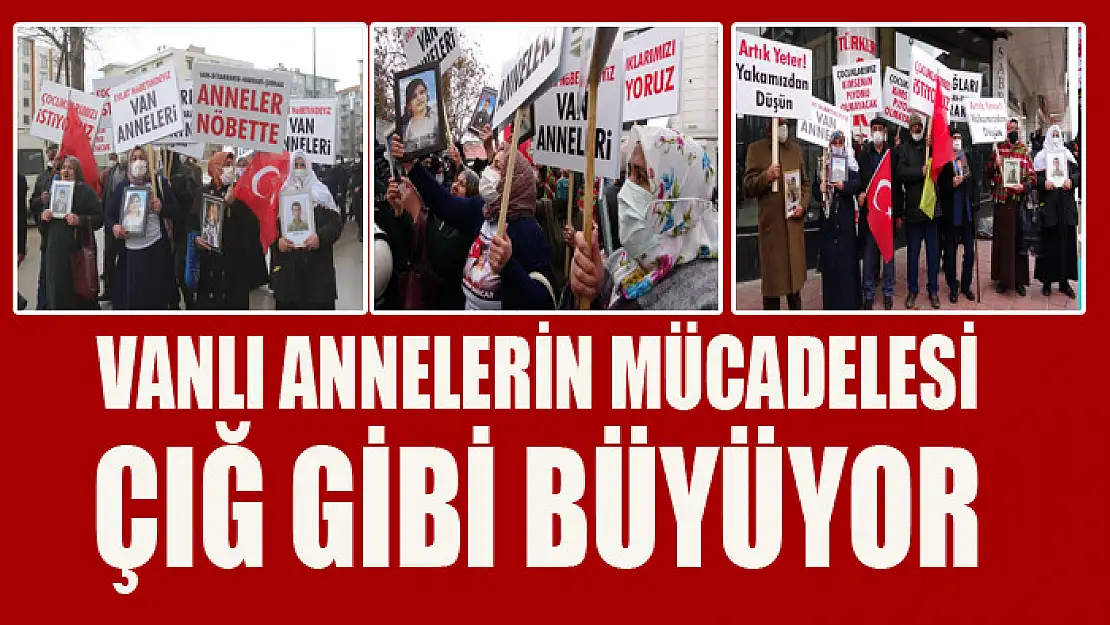 Vanlı annelerin mücadelesi çığ gibi büyüyor