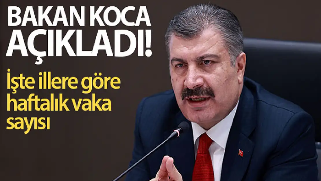 Sağlık Bakanı Koca, illere göre haftalık korona virüs vaka sayılarını açıkladı