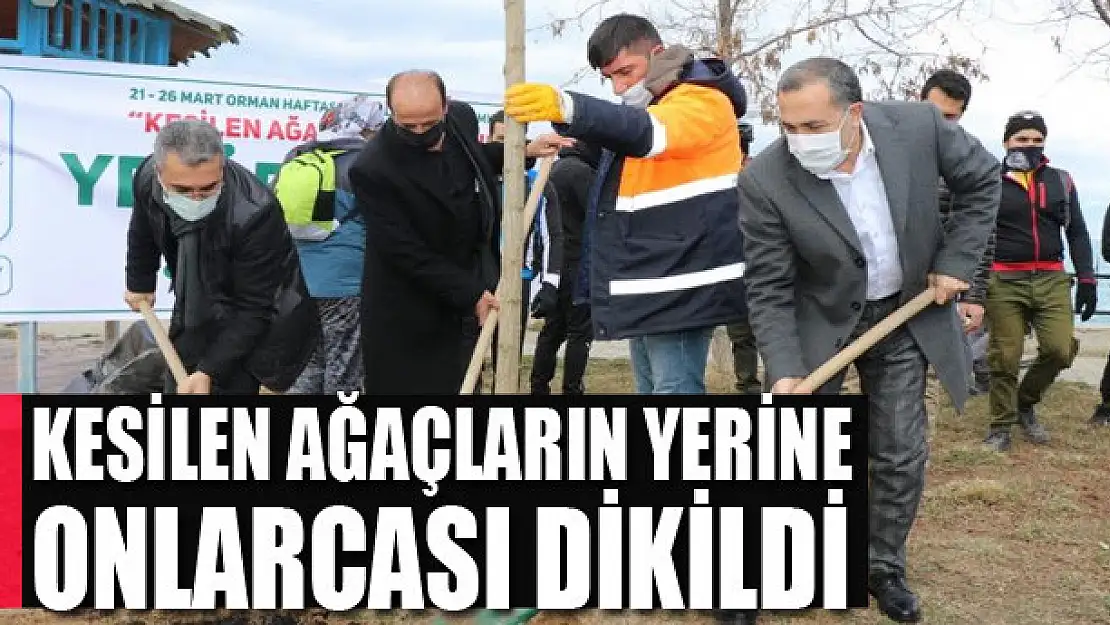 Kesilen ağaçların yerine onlarcası dikildi