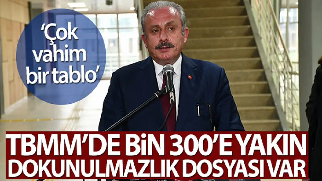 TBMM Başkanı Şentop: 'TBMM'de bin 300'e yakın dokunulmazlık dosyası var, çok vahim bir tablo'