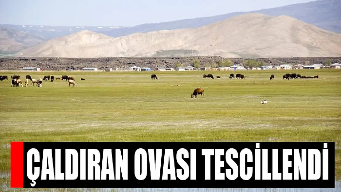 Çaldıran Ovası tescillendi