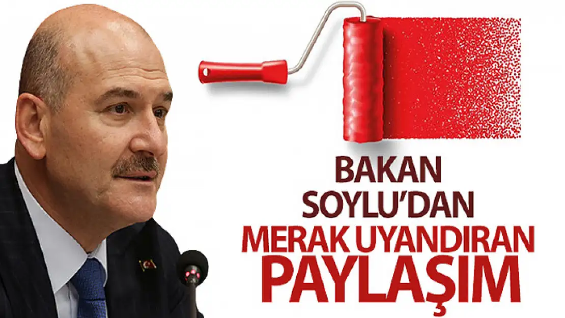 Bakan Soylu'dan merak uyandıran paylaşım