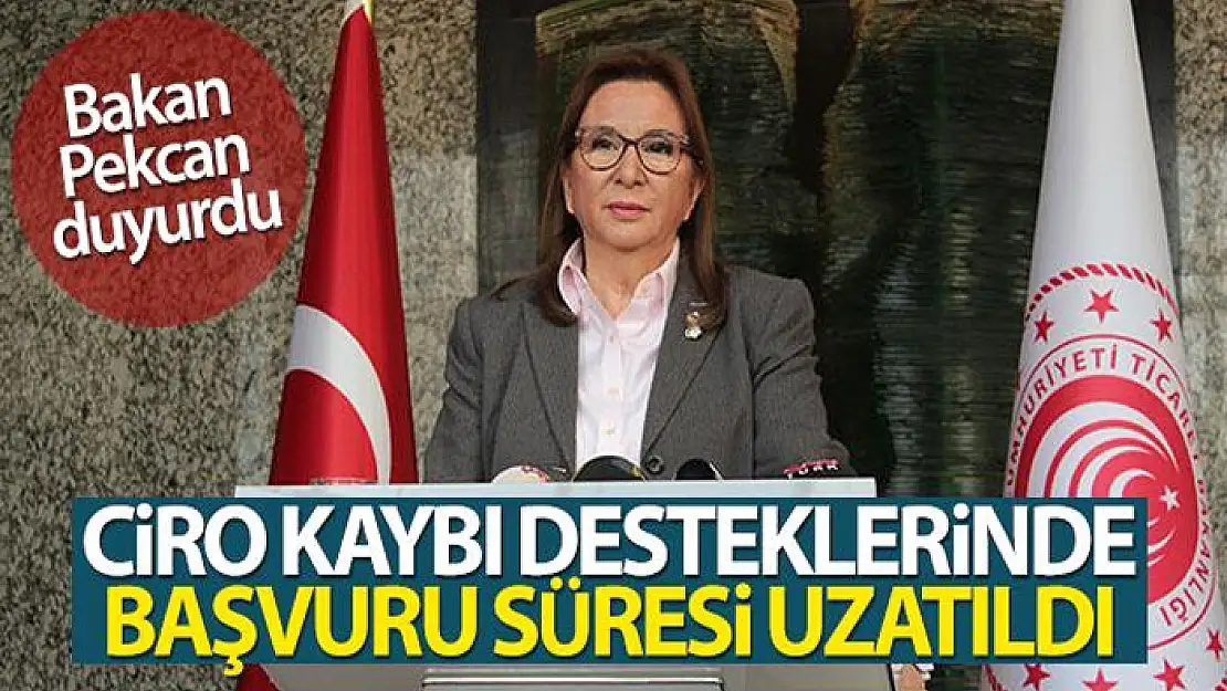 Bakan Pekcan açıkladı! Ciro kaybı desteklerinde başvuru süresi uzatıldı