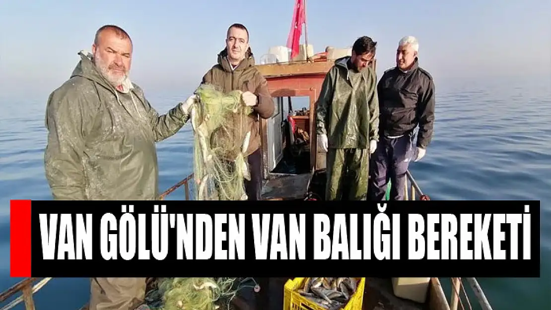 Van Gölü'nden Van balığı bereketi