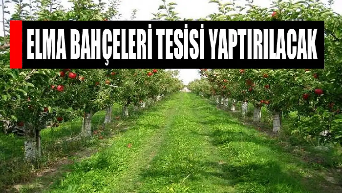 Elma bahçeleri tesisi yaptırılacak