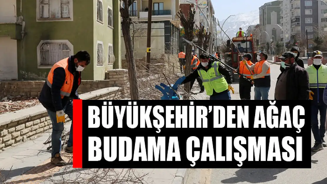 Büyükşehir'den ağaç budama çalışması