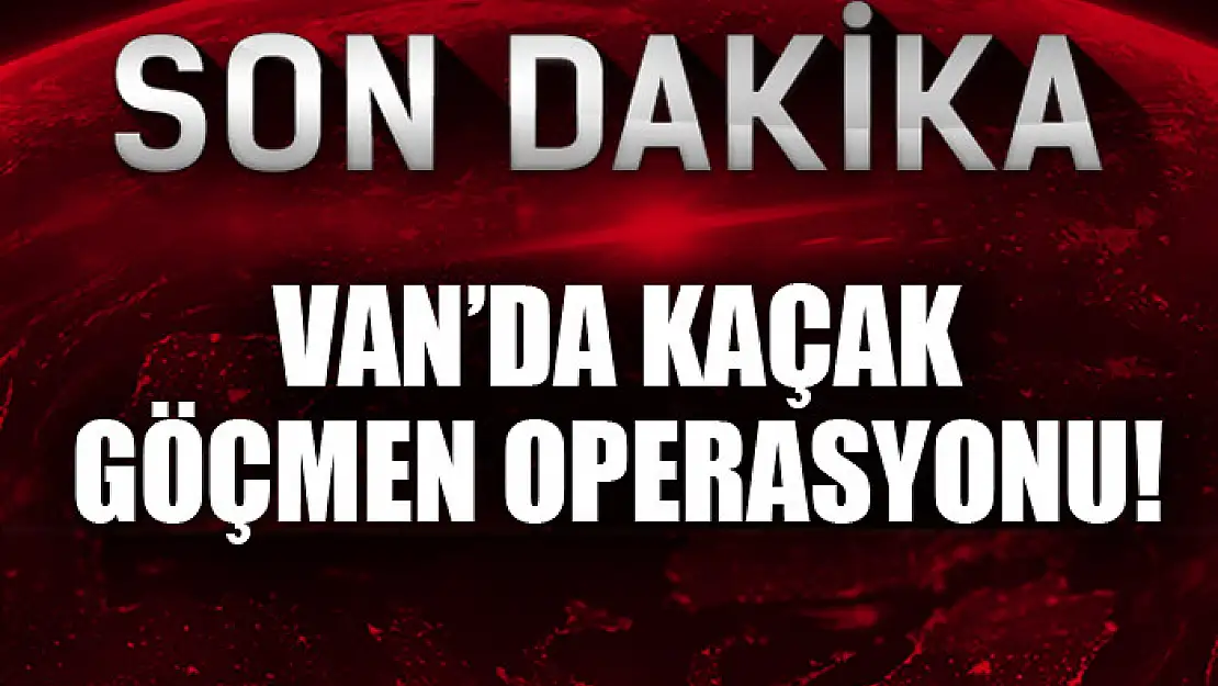 Van'da kaçak göçmen operasyonu!