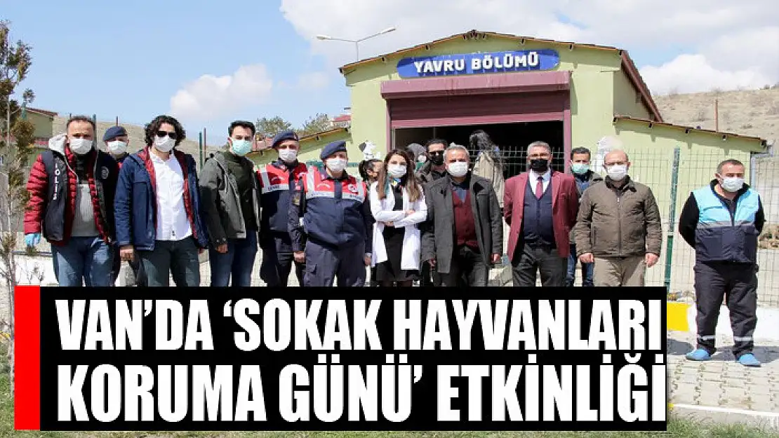 Van'da 'Sokak Hayvanları Koruma Günü' etkinliği