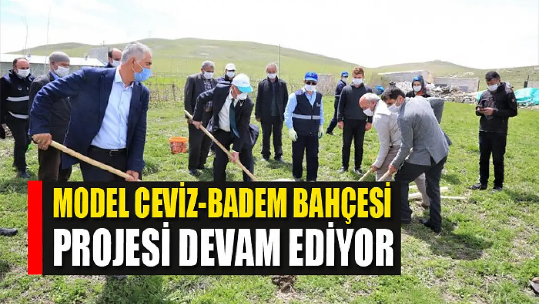 Model Ceviz-Badem Bahçesi projesi devam ediyor