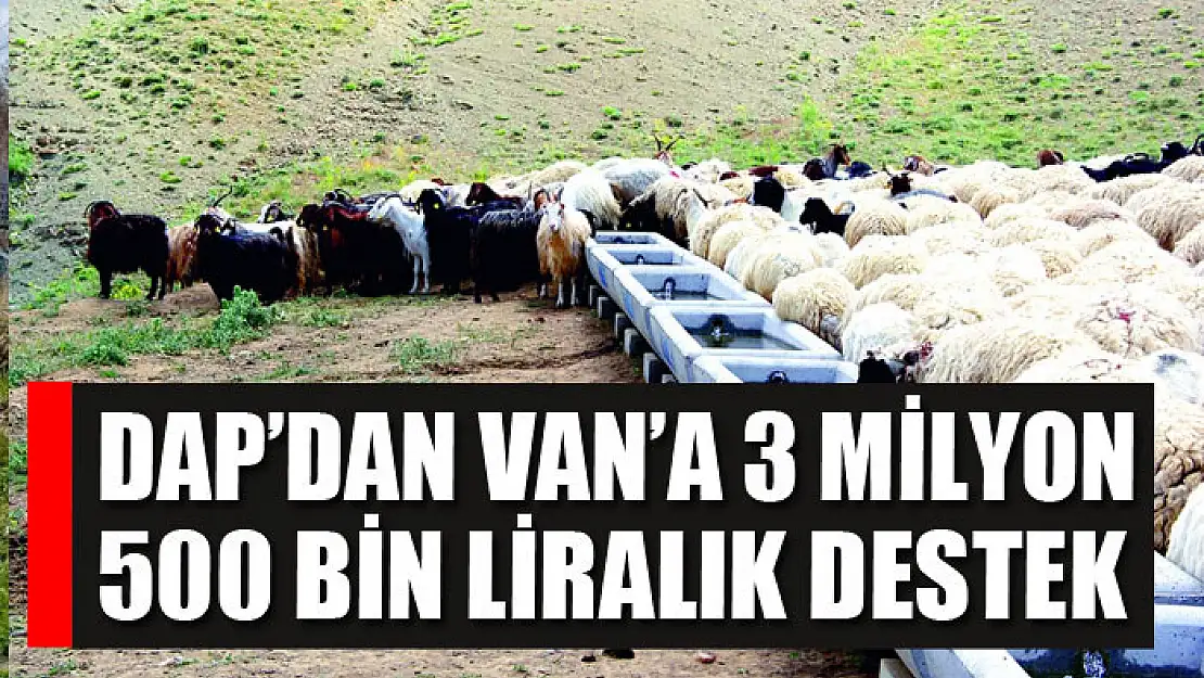 DAP'dan Van'a 3 milyon 500 bin liralık destek