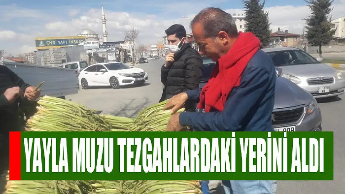 Yayla Muzu tezgahlardaki yerini aldı