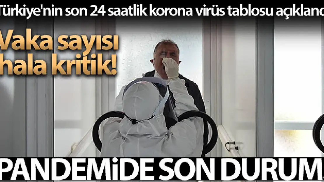 Son 24 saatte korona virüsten 237 kişi hayatını kaybetti