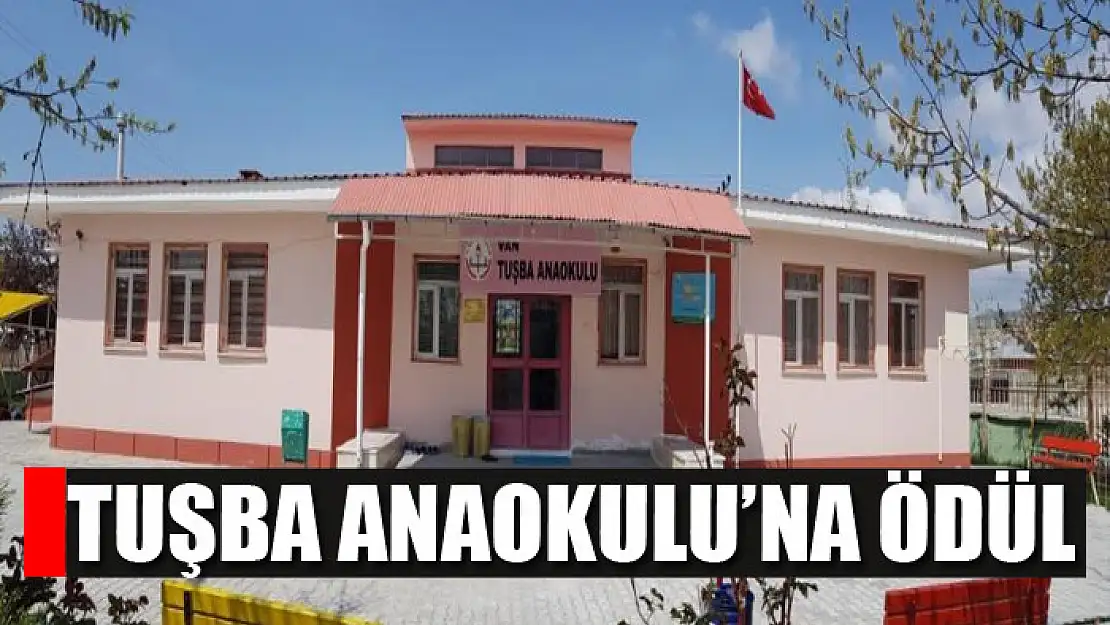 Tuşba Anaokulu'na ödül