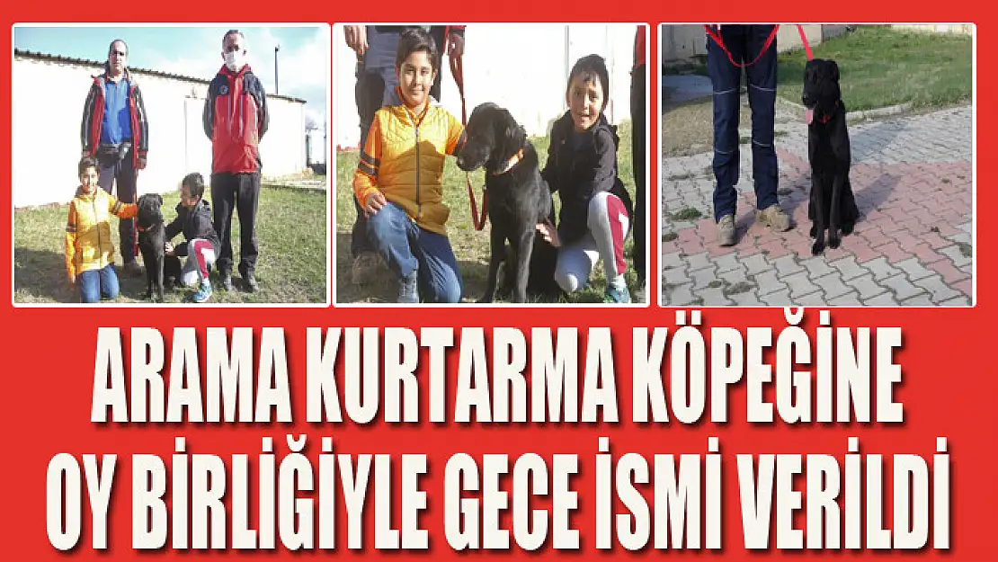 Arama kurtarma köpeğine Gece ismi verildi