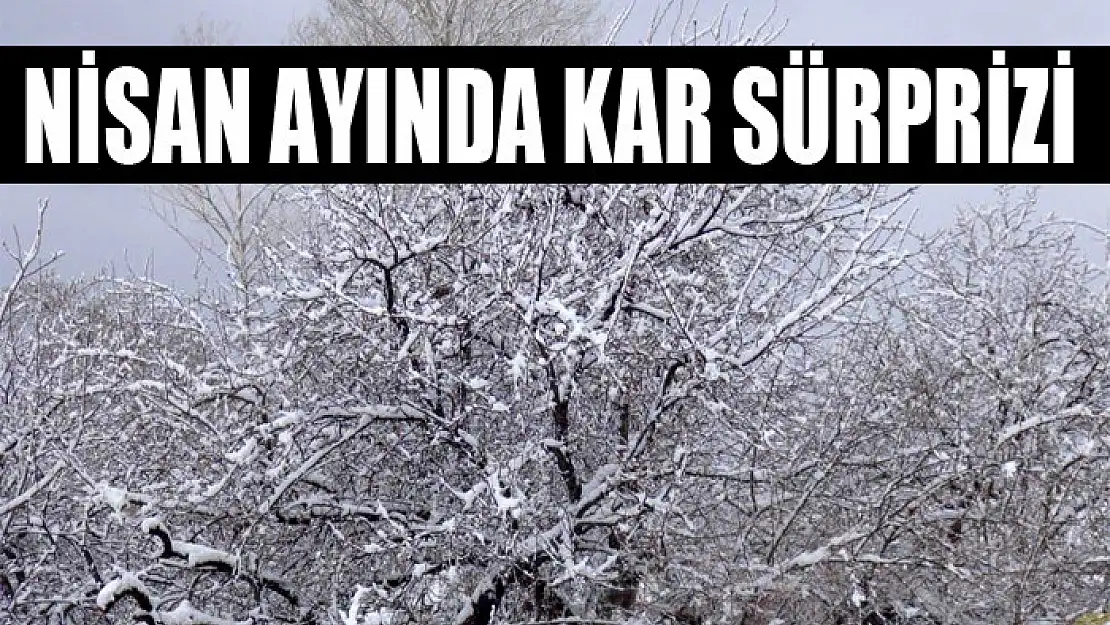 Nisan ayında kar sürprizi