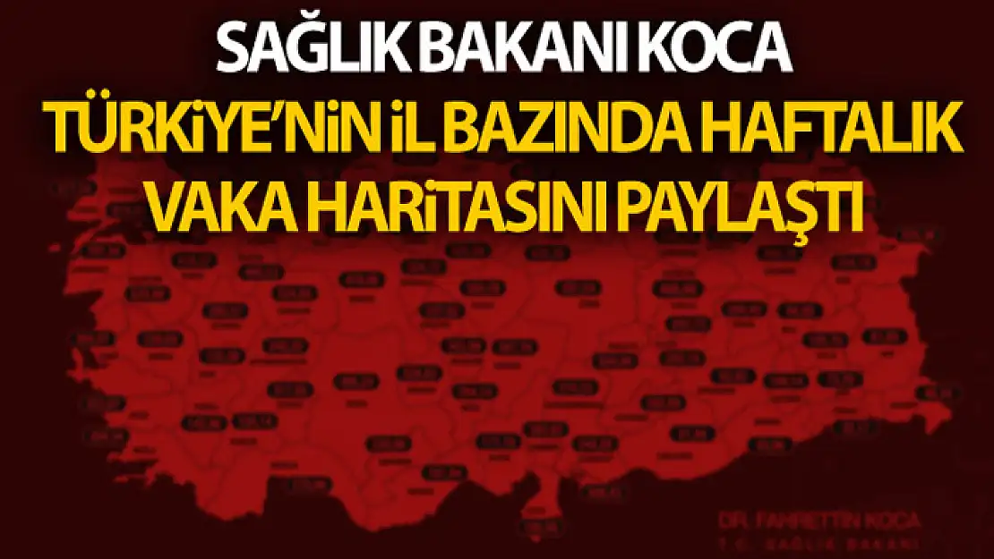 Sağlık Bakanı Koca, Türkiye'nin il bazında haftalık vaka haritasını paylaştı