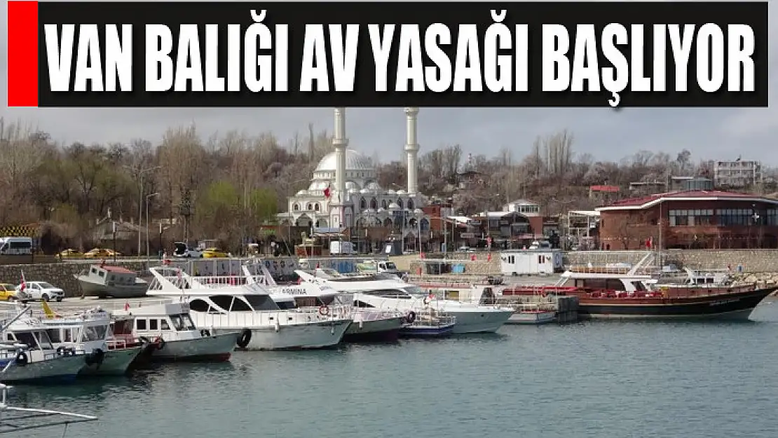 Van Balığı av yasağı başlıyor