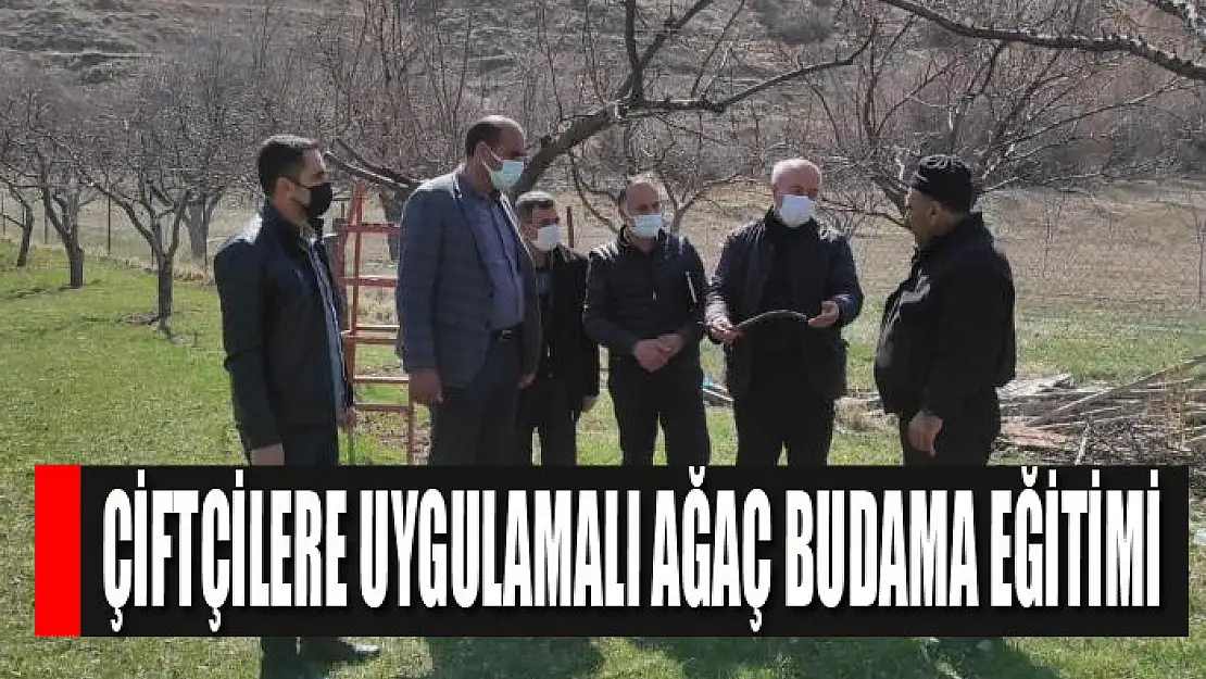 Tuşba Belediyesinden çiftçilere uygulamalı ağaç budama eğitimi