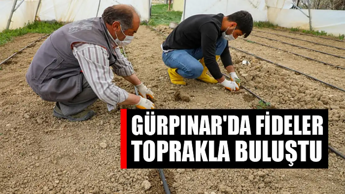 Gürpınar'da fideler toprakla buluştu