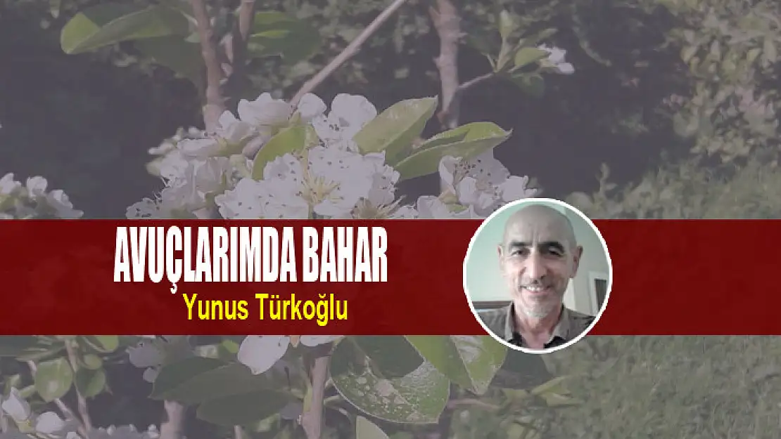 Avuçlarımda Bahar