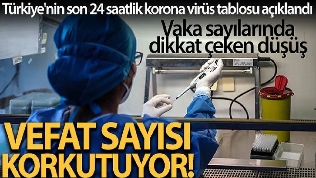 Son 24 saatte korona virüsten 354 kişi hayatını kaybetti