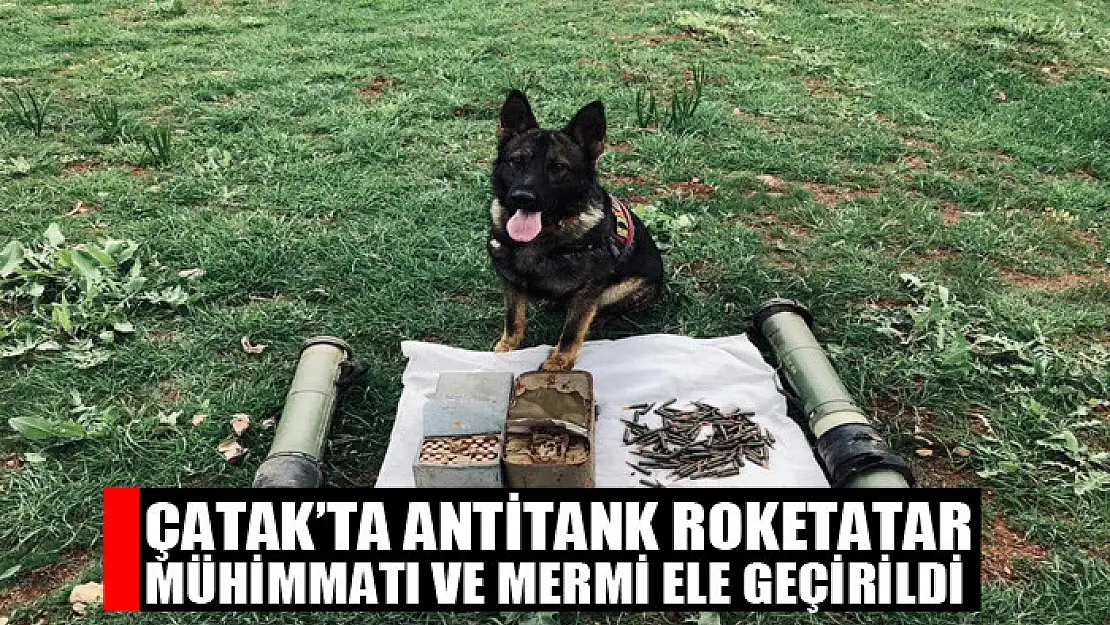 Çatak'ta antitank roketatar mühimmatı ve mermi ele geçirildi