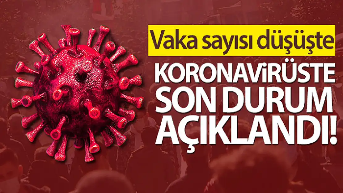 Koronavirüste son rakamlar açıklandı!