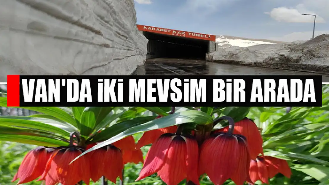 Van'da iki mevsim bir arada