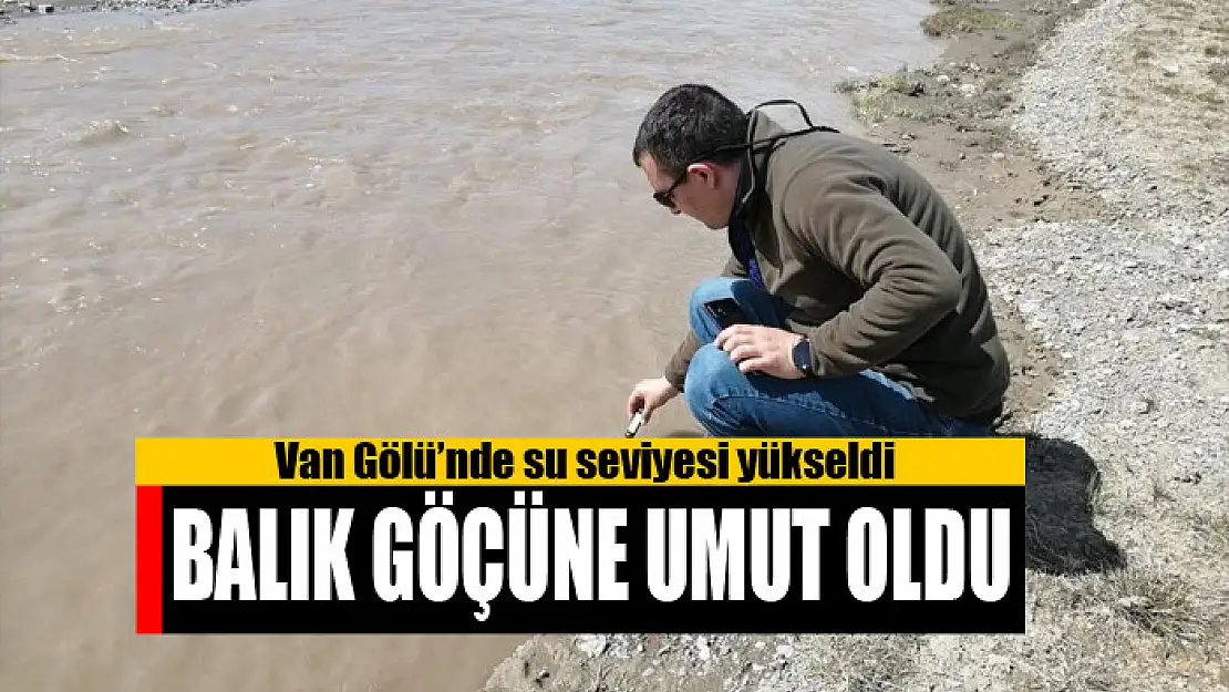 Van Gölü'nde su seviyesi yükseldi