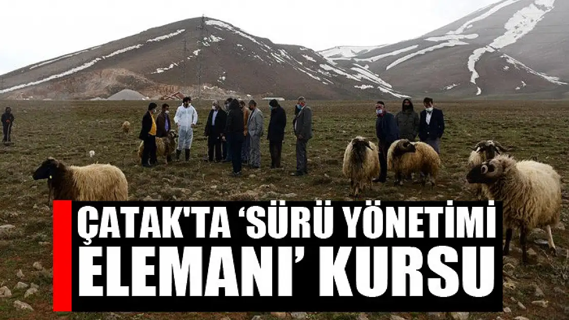 Çatak'ta 'Sürü Yönetimi Elemanı' kursu