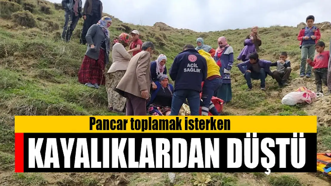 Pancar toplamak isterken kayalıklardan düştü