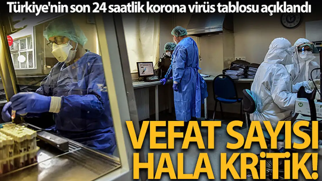 Son 24 saatte korona virüsten 340 kişi hayatını kaybetti