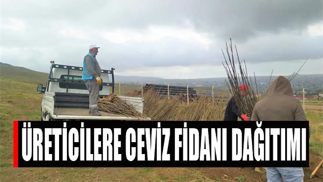 Üreticilere ceviz fidanı dağıtımı