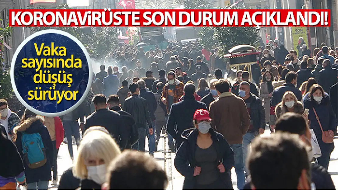 Türkiye'de son 24 saatte 24.733 koronavirüs vakası tespit edildi