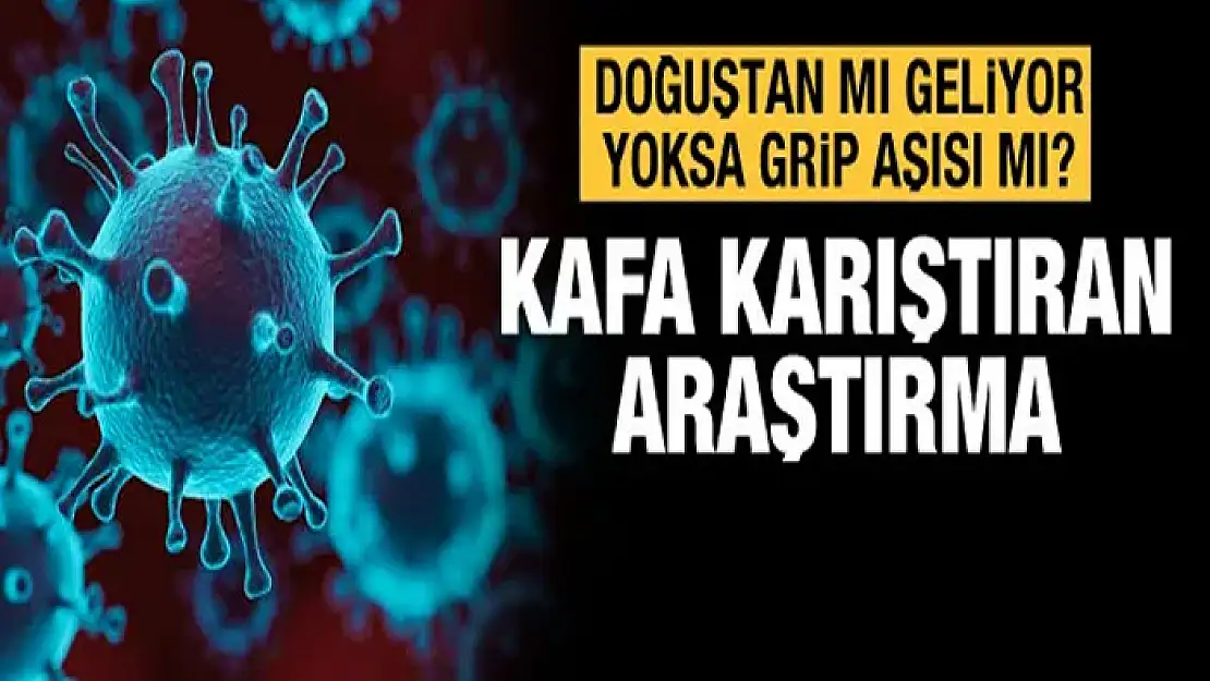 Grip aşısı koronaya karşı koruma sağlıyor mu?