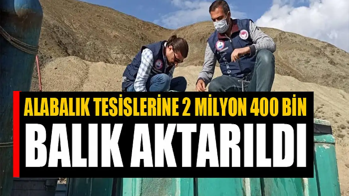 Alabalık tesislerine 2 milyon 400 bin balık aktarıldı