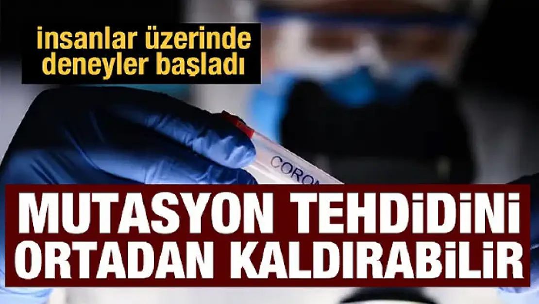 Mutasyonlu virüslere karşı antikor ilacı: İnsanlı deneyler başladı