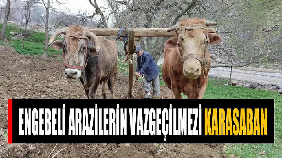 Engebeli arazilerin vazgeçilmezi karasaban