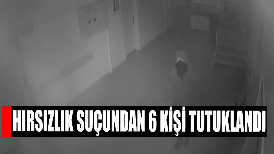 Van'da hırsızlık suçundan 6 kişi tutuklandı