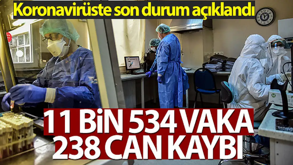 Türkiye'de son 24 saatte 11.534 koronavirüs vakası tespit edildi