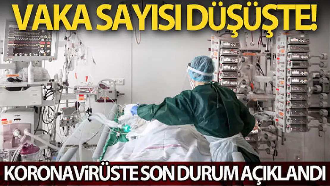 Koronavirüste son durum ne ? Vaka sayısı düşüşte mi ?