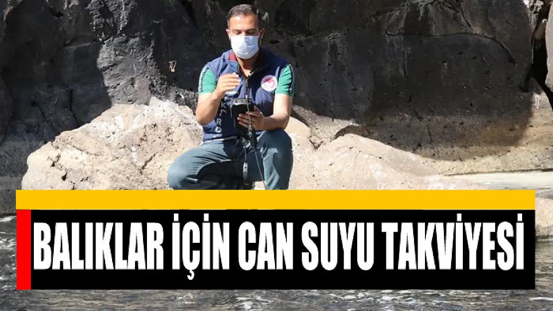 Göç yolunda oksijensiz kalan balıklar için can suyu takviyesi