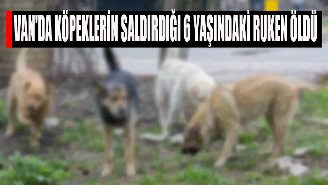 Van'da köpeklerin saldırdığı 6 yaşındaki Ruken öldü